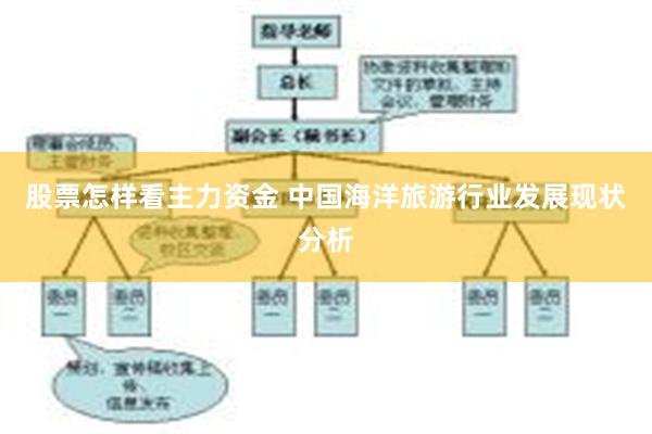 股票怎样看主力资金 中国海洋旅游行业发展现状分析