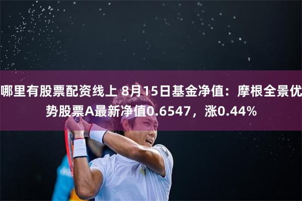 哪里有股票配资线上 8月15日基金净值：摩根全景优势股票A最新净值0.6547，涨0.44%