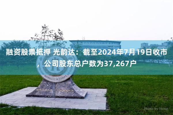 融资股票抵押 光韵达：截至2024年7月19日收市，公司股东总户数为37,267户