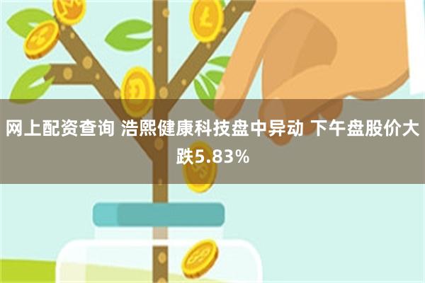 网上配资查询 浩熙健康科技盘中异动 下午盘股价大跌5.83%