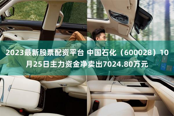 2023最新股票配资平台 中国石化（600028）10月25日主力资金净卖出7024.80万元