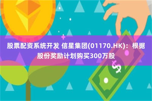 股票配资系统开发 信星集团(01170.HK)：根据股份奖励计划购买300万股