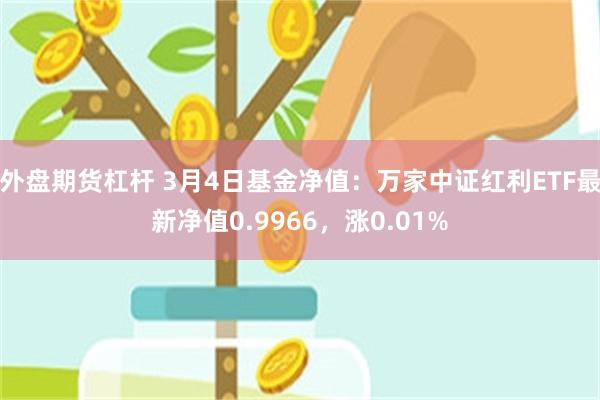 外盘期货杠杆 3月4日基金净值：万家中证红利ETF最新净值0.9966，涨0.01%